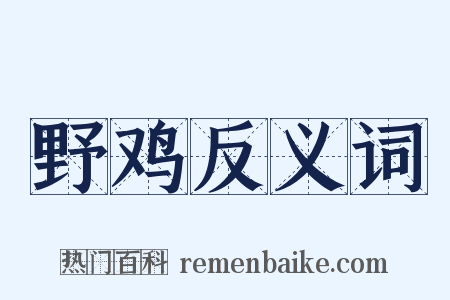 野鸡反义词是什么意思的图片